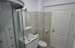 Apartament o cameră, 40 mp, parcare, petfriendly, zona Cetății