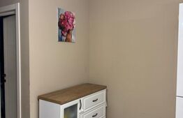 Apartament cu 2 cam, parter, 54 mp, cu gradina de 50 mp  si parcare-zona Eroilor