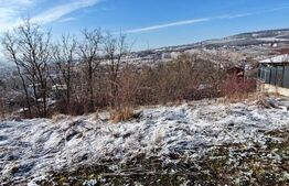 Oportunitate! Teren intravilan, 2300 mp, parcelabil, strada Pomet