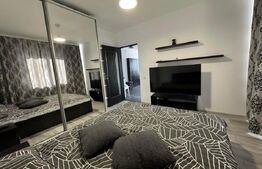 Apartament 2 camere, semidecomandat, pet friendly, parcare subterana-Dambu Rotun