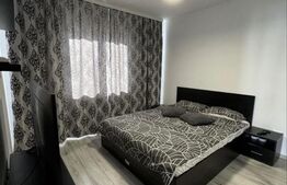 Apartament 2 camere, semidecomandat, pet friendly, parcare subterana-Dambu Rotun