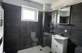 Apartament 2 camere, semidecomandat, pet friendly, Dambu Rotund/Calea Baciului