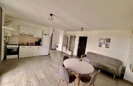 Apartament 2 camere, semidecomandat, pet friendly, Dambu Rotund/Calea Baciului