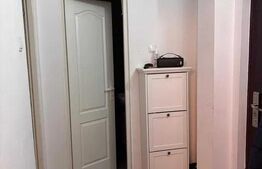 Apartament cu 1 camera, decomandat, 30 mp, Manastur