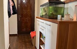 Apartament 3 camere decomandat - zona Noua, mobilat, utilat