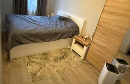 Apartament 3 camere decomandat - zona Noua, mobilat, utilat