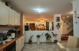 Casa 4 camere, 255 mp, Campia Turzii