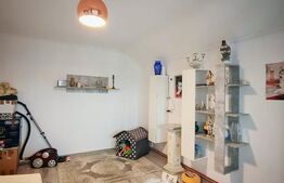 Casa 4 camere, 255 mp, Campia Turzii