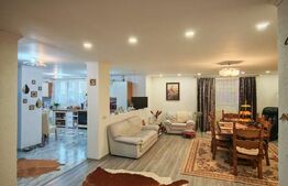 Casa 4 camere, 255 mp, Campia Turzii