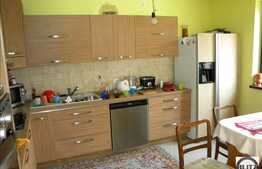 Vila in Andrei Muresanu cu 380 mp utili!