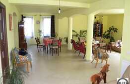 Vila in Andrei Muresanu cu 380 mp utili!