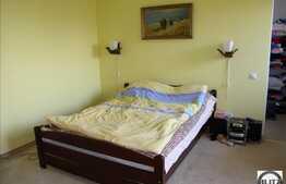 Vila in Andrei Muresanu cu 380 mp utili!