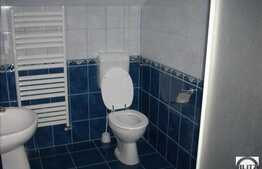 Vanzare casa individuala 300 mp utili, teren 600 mp, cu front 45 m, la 2 strazi