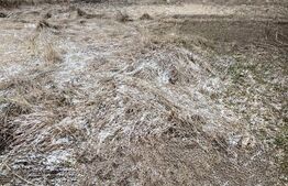 Teren de vânzare Luna de Sus - 189354TV | BLITZ Cluj-Napoca | Poza1