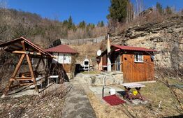 Casa de vacanta si teren intravilan, 425 mp, Valea Ierii 