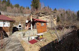 Casa de vacanta si teren intravilan, 425 mp, Valea Ierii 