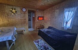 Casa de vacanta si teren intravilan, 425 mp, Valea Ierii 