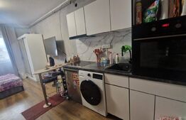 Garsoniera Centru Civic - cu baie si bucatarie vedere spre Tampa