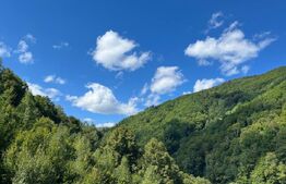 Cabană 5 camere, teren de 1000 mp, Valea Ierii