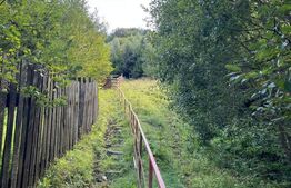 Cabană 5 camere, teren de 1000 mp, Valea Ierii