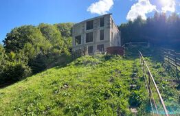 Cabană 5 camere, teren de 1000 mp, Valea Ierii