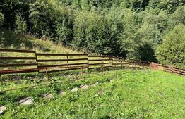 Cabană 5 camere, teren de 1000 mp, Valea Ierii