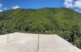 Cabană 5 camere, teren de 1000 mp, Valea Ierii