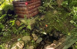 Cabană 5 camere, teren de 1000 mp, Valea Ierii