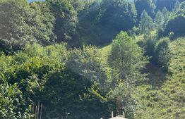 Cabană 5 camere, teren de 1000 mp, Valea Ierii