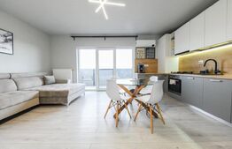 Apartament semidecomandat, 2 camere, 46 mp, mobilat si utilat, zona Teilor