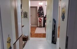 Apartament cu 3 camere 74 mp Mobilat Modern Garaj Grigore Alexandrescu