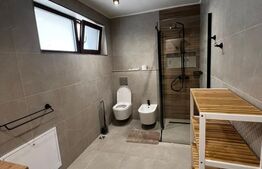 Casa cu 4 camere, 120 mp utili, 250 mp de teren, la liziera padurii