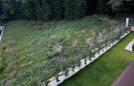 Casa cu 4 camere, 120 mp utili, 250 mp de teren, la liziera padurii