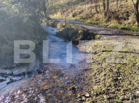 Teren de vânzare Baisoara - 188976TV | BLITZ Cluj-Napoca | Poza1