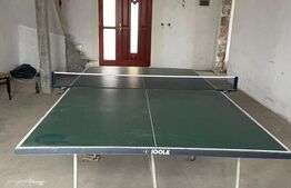 Casa 310 mp utili, 2900 mp teren, zona Insula, Campia Turzii 