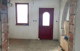 Casa 310 mp utili, 2900 mp teren, zona Insula, Campia Turzii 