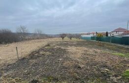 Casa 310 mp utili, 2900 mp teren, zona Insula, Campia Turzii 