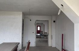 Casa 310 mp utili, 2900 mp teren, zona Insula, Campia Turzii 