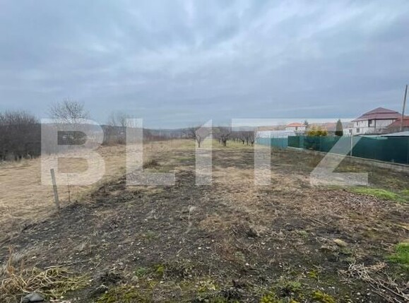 Casa de vânzare 4 camere Câmpia Turzii - 189011CV | BLITZ Cluj-Napoca | Poza9