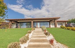 Casa individuala premium cu piscina exterioara 