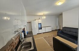 Apartament semidecomandat cu 2 camere, 40mp utili, zona Terra