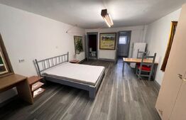 Garsoniera de inchiriat, 45 mp, Pet Friendly - USAMV, Manastur