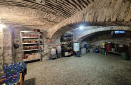 Proprietate deosebită cu panouri fotovoltaice si panouri solare –Sânpetru,BV.