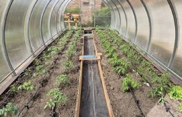 Proprietate deosebită cu panouri fotovoltaice si panouri solare –Sânpetru,BV.