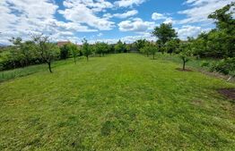 Proprietate deosebită cu panouri fotovoltaice si panouri solare –Sânpetru,BV.