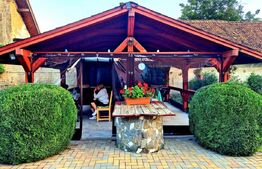 Proprietate deosebită cu panouri fotovoltaice si panouri solare –Sânpetru,BV.