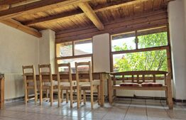 Proprietate deosebită cu panouri fotovoltaice si panouri solare –Sânpetru,BV.