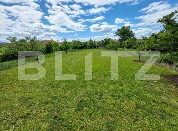 Casa de vânzare 10 camere Sanpetru - 189127CV | BLITZ Brașov | Poza20