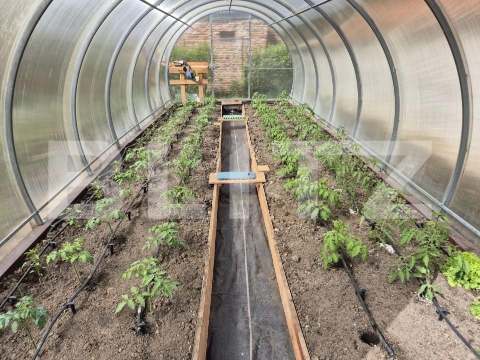 Casa de vânzare 10 camere Sanpetru - 189127CV | BLITZ Brașov | Poza19