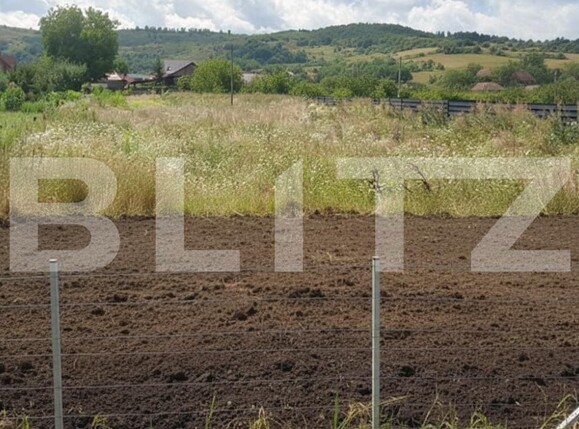 Teren de vânzare Floreşti - 189129TV | BLITZ Cluj-Napoca | Poza2